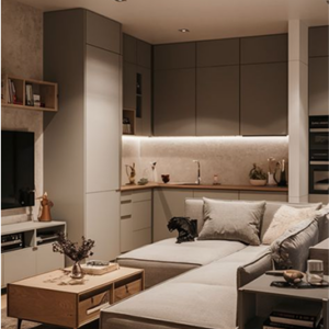 Modern Condo